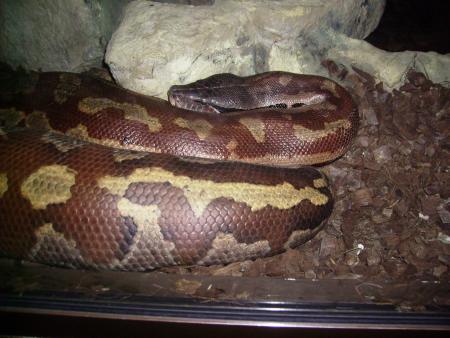 Zoo d'Amn�ville le  8 mai 