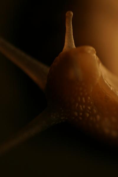 Nouvelle photo de Claire!